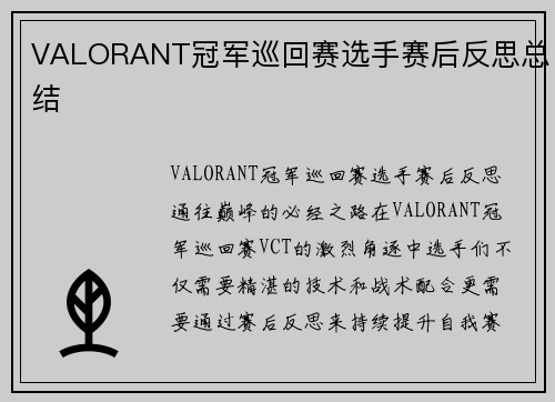 VALORANT冠军巡回赛选手赛后反思总结